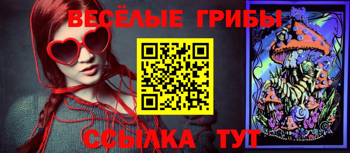 Галлюциногенные грибы Psilocybe  Вход с VPN  Лесной 